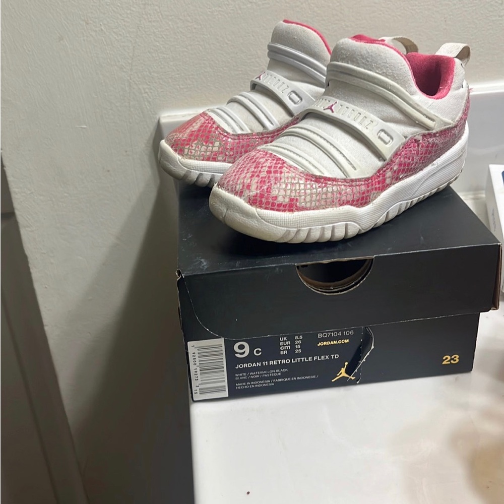 Retro Air Jordan  11 “snakes” w/ hoodie
